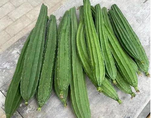 绿色瓜怎么吃,探索健康美味的新选择
